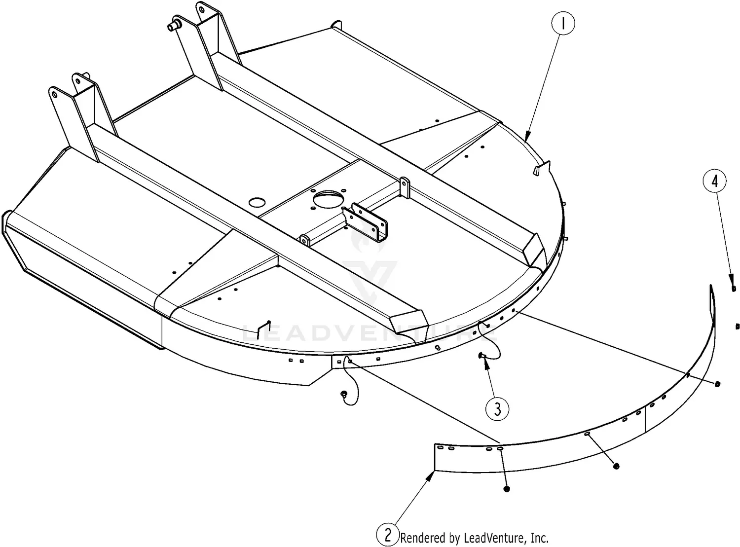 Anapat#9 株分品 Anapat#9 株分品