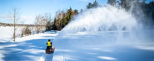 Mammoth 850 image 12