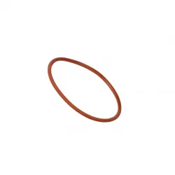 O-RING           Part #17284481