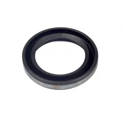 Oil Seal Part #299819S
