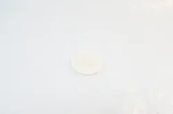 Recoil Starter Pulley Part #579366201