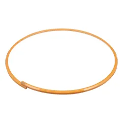 RING             Part #A19100