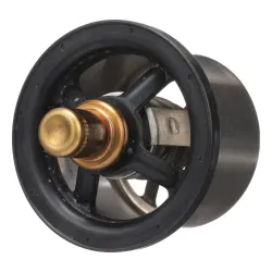 THERMOSTAT       Part #504096443