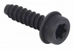 SCREW ITXSCFT PW Part #576275601