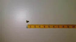 SCREW Part #03017-50610