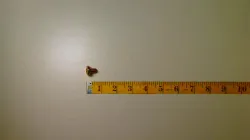 SCREW            Part #03017-50812
