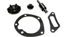 KIT, WATER PUMP  Part #366146R91GV