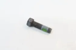 Hex Head Screw Part #532851084