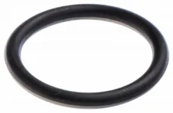 RETAINING RING Part #740421000