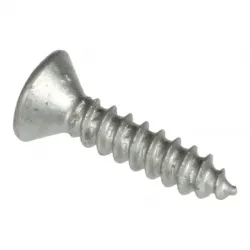 SCREW Part #15915901