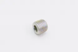 PLUG,ALLEN 1/4 N Part #70060-70419
