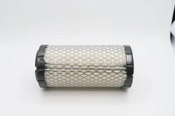 Air Cleaner Filter (Engine Air Filter) Part #4166483-24