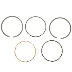 PISTON RING ASM Part #753-05229