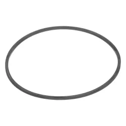 RING Part #304854R1