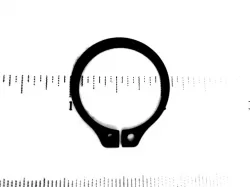 RING Part #9617878