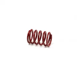 SPRING-VALVE     Part #691597