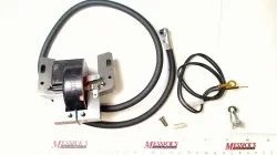 Briggs & Stratton ARMATURE Part #398811