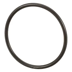 O-RING           Part #86637769