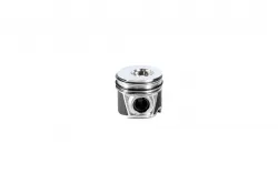 KIT, PISTON & RI Part #8094740