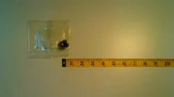 NUT              Part #K6155-53280