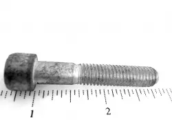SCREW            Part #14306824