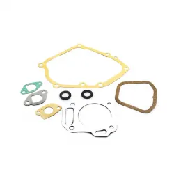 Cub Cadet GASKET KIT-ENGIN Part #06111-ZL0-000