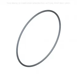 O-RING           Part #86507786
