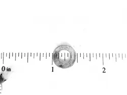 WASHER           Part #12601279