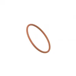 O-RING          * Part #17283581