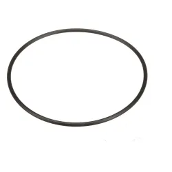 New Holland O-RING Part #100123