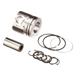 KIT, PISTON & RI Part #87802440