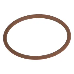 O-RING          * Part #17283181