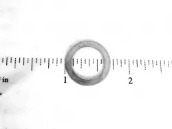 RING Part #934005R1