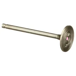VALVE,ENGINE,INL Part #4895187