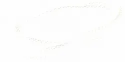 STARTER ROPE Part #531003363