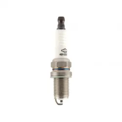 Spark Plug Part #491055S