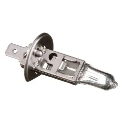 BULB             Part #14151095