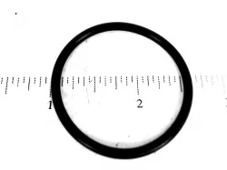 O-RING Part #12889