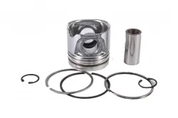 KIT, PISTON & RI Part #8097879