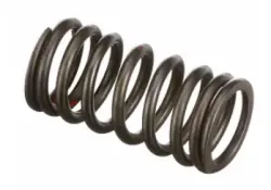 New Holland #4895215 SPRING