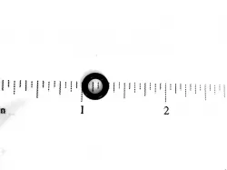 O-RING* Part #86511345