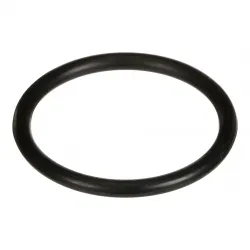 O-RING          * Part #100748A1