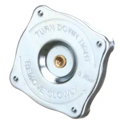 PLUG Part #4999682