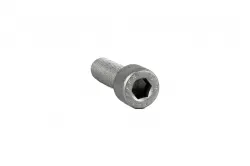 SCREW           * Part #14306424