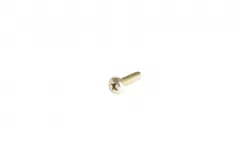SCREW           * Part #13276411