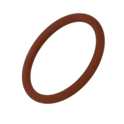 O-RING          * Part #17282281