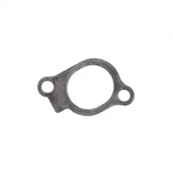 GASKET, INTAKE Part #847671