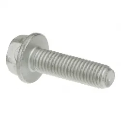 SCREW            Part #16587325