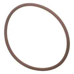 O-RING           Part #17290581