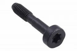 SCREW CITXSCMO M Part #504088001
